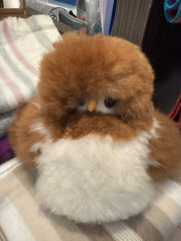 Bébé Alpaca Hiboux 9"