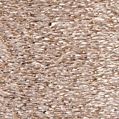 Metallic No.40