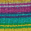 Evolution Sock