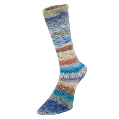 Evolution Celebration sock