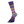 Evolution Celebration sock