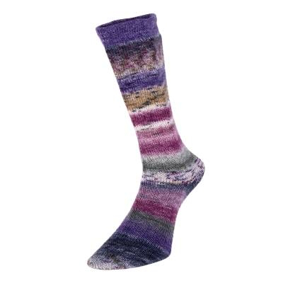 Evolution Celebration sock