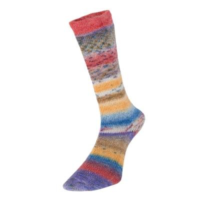 Evolution Celebration sock