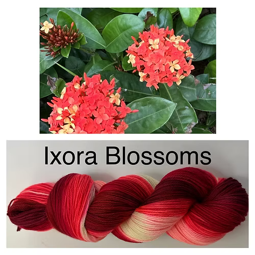 Merino Cloud Artyarns